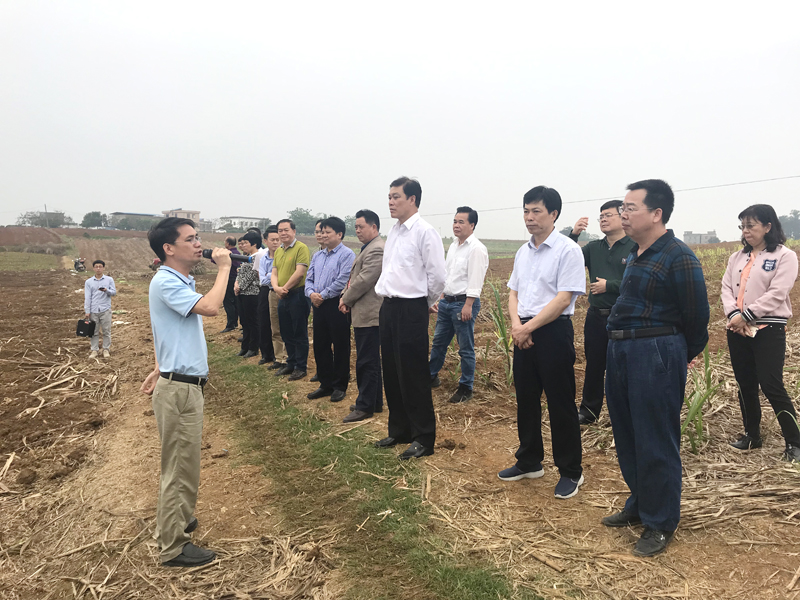 尊龙凯时人生就是搏 -官网首页